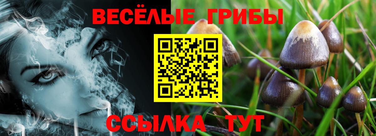 Лобня  наркотики  Вход с VPN  Псилоцибиновые грибы Magic Shrooms 